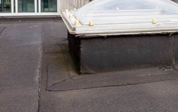 disadvantages of Pyle Hill flat roofs