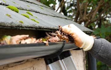 gutter cleaning Pyle Hill, Surrey
